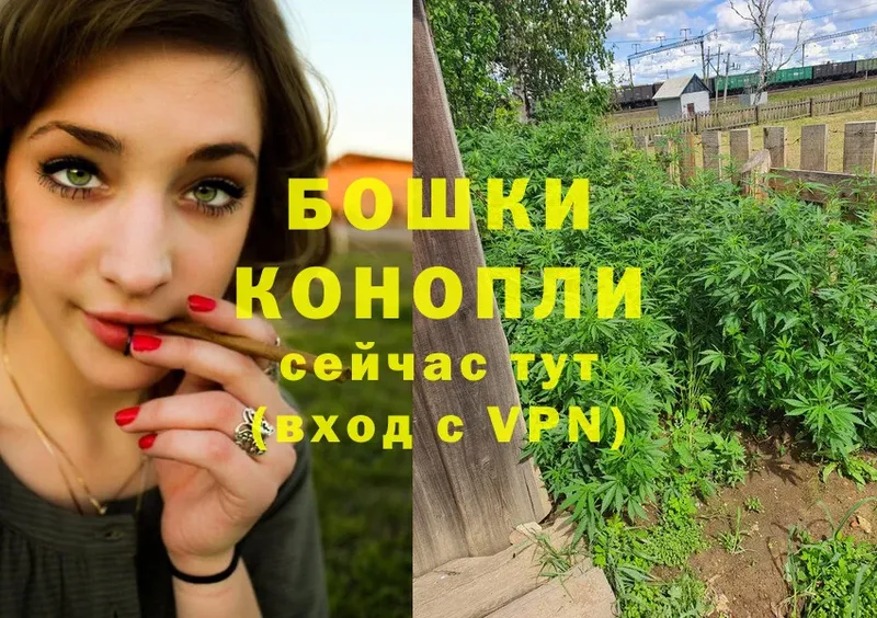 Шишки марихуана SATIVA & INDICA  что такое наркотик  Копейск 